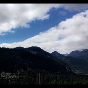 Meet your Posher, Angelica